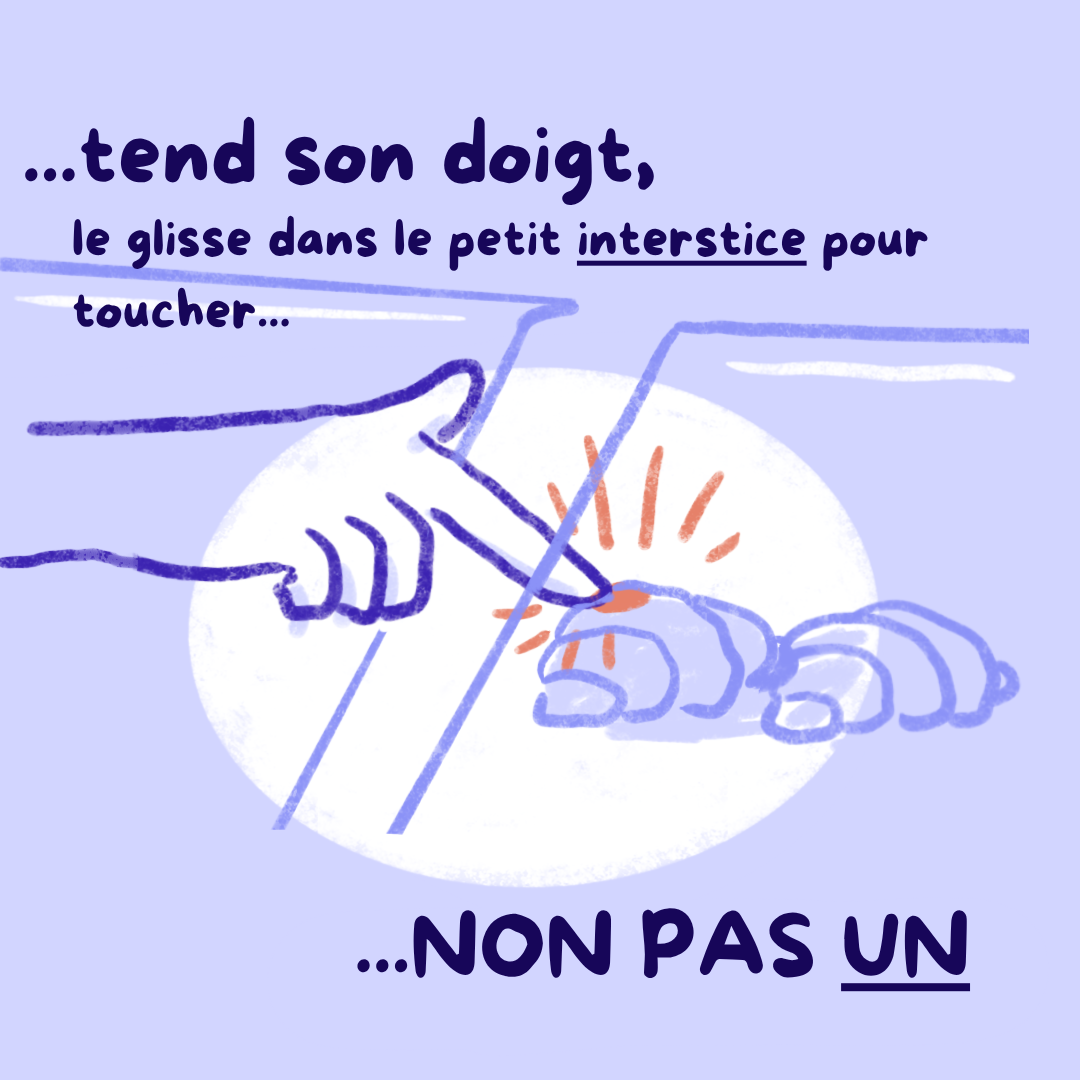 bd boulangerie 6