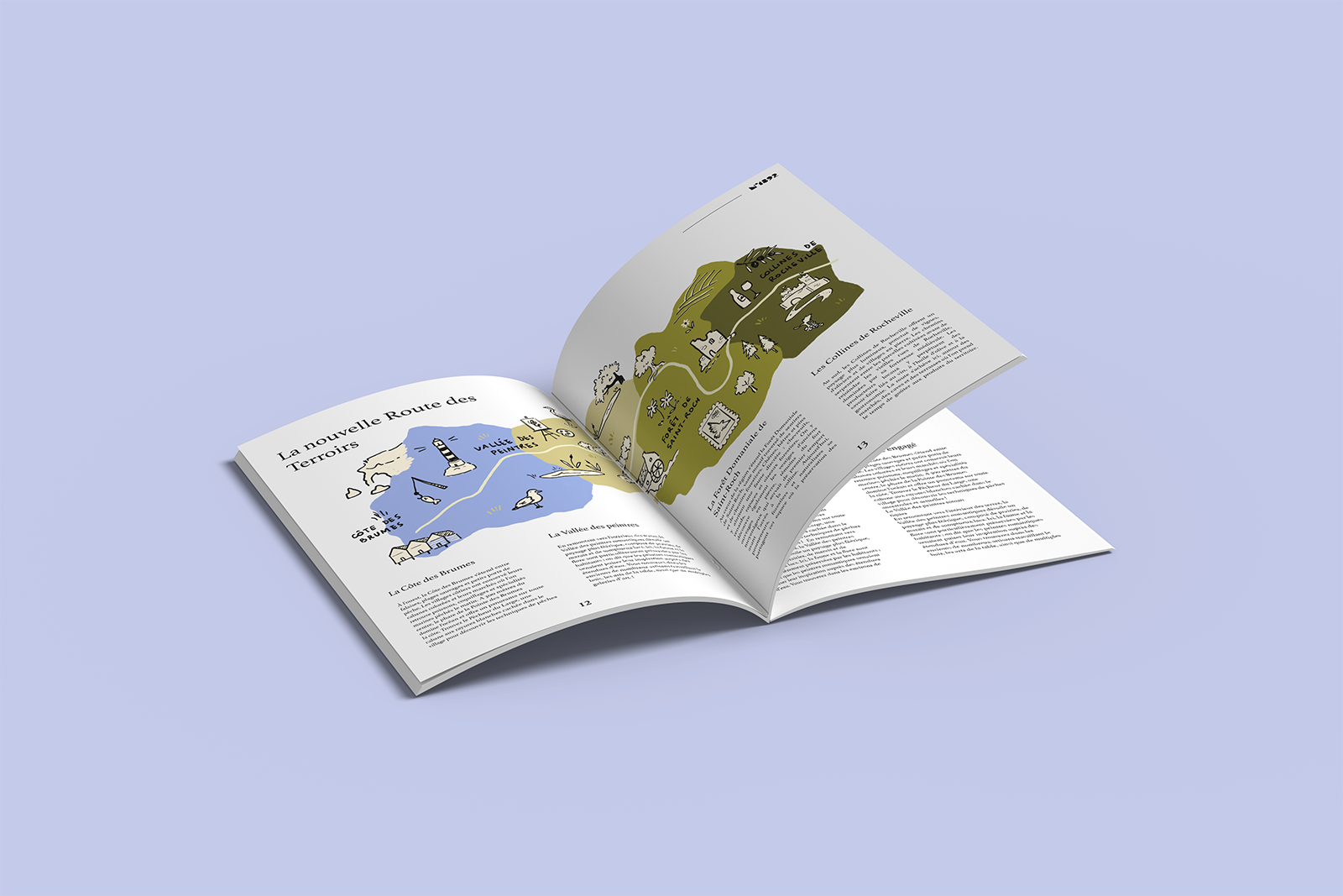 infographie carte illustree