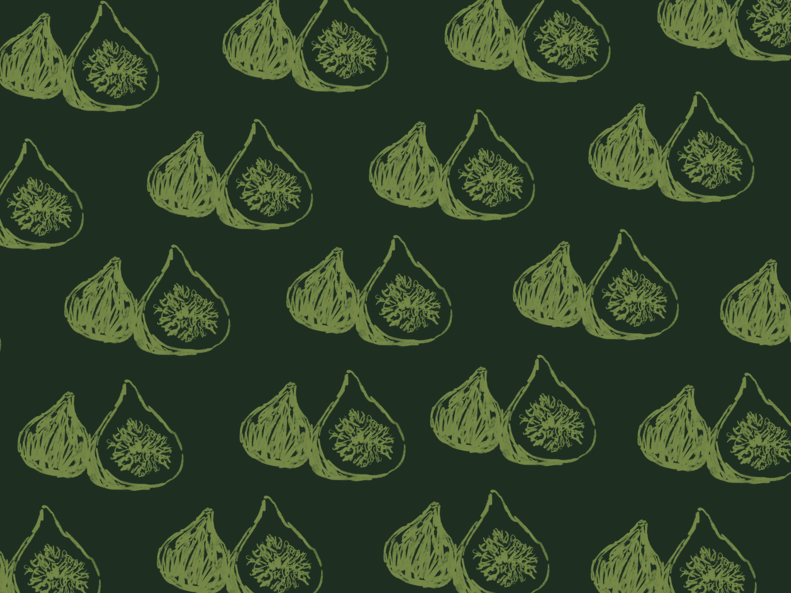 motif pattern illustre
